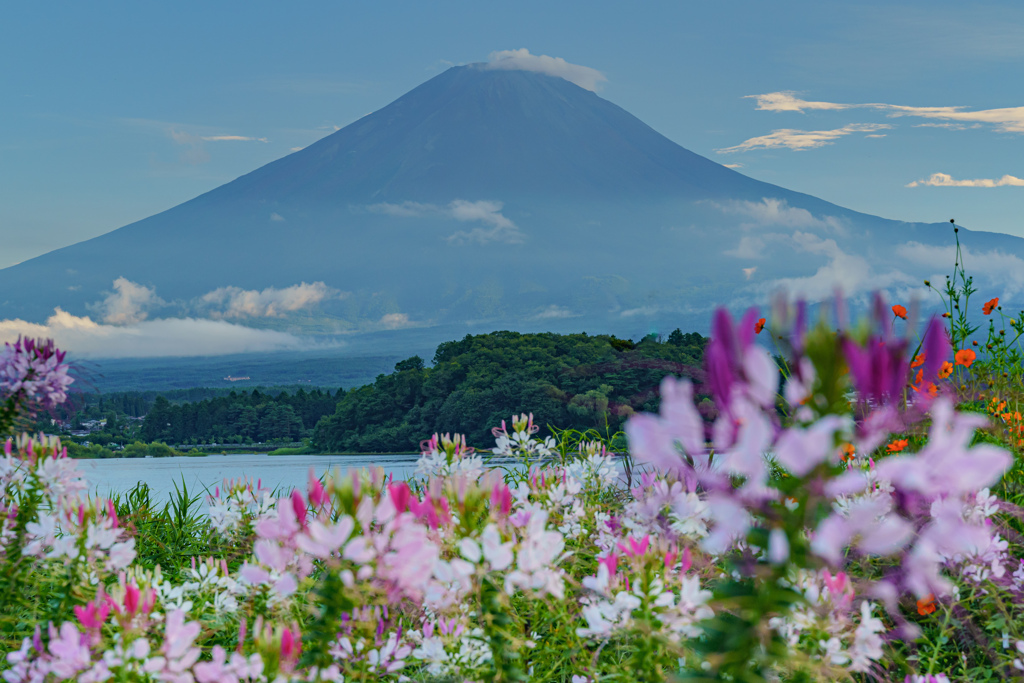 河口湖畔