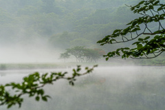 覚満淵