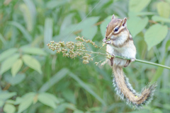 食欲の秋