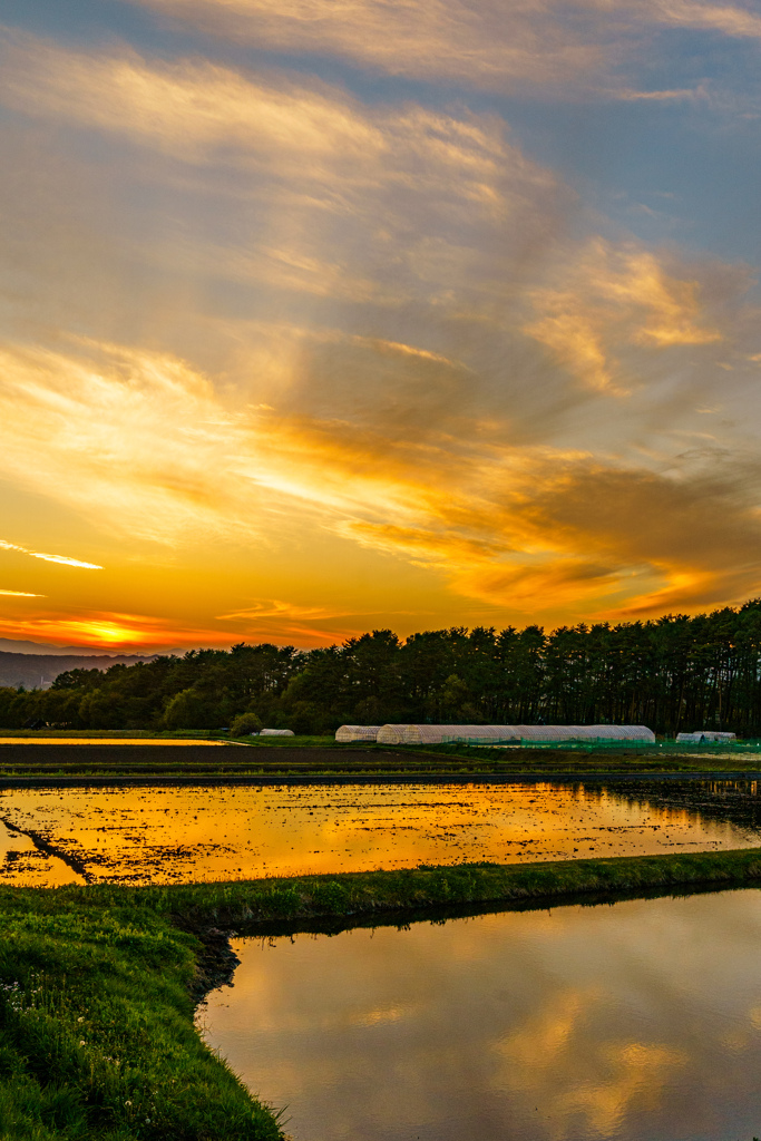 夕景