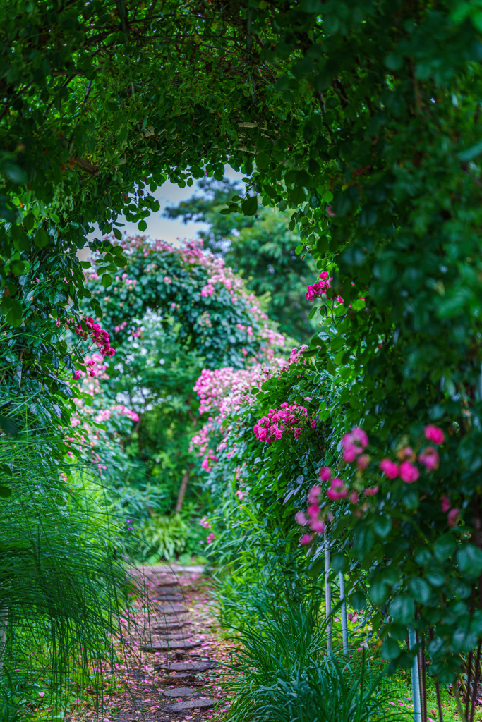 naturalGarden