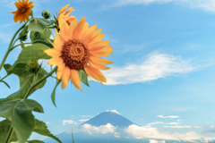 日本の夏^ ^