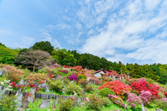 つつじ公園