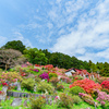 つつじ公園