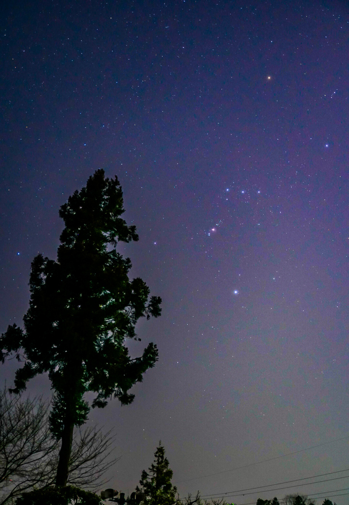 オリオン座⭐︎