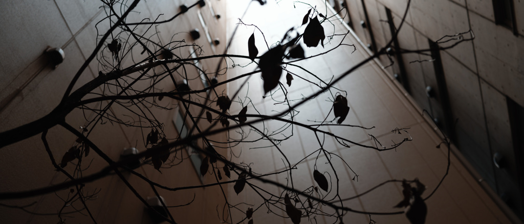 2023-08-11_11-58-31_000