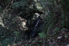伊尾木洞