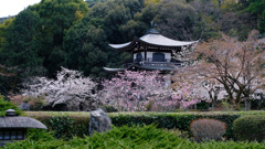 DSCF6876 勧修寺