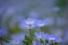 DSCF0183