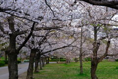 DSCF6820