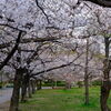 DSCF6820