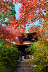 常寂光寺　多宝塔