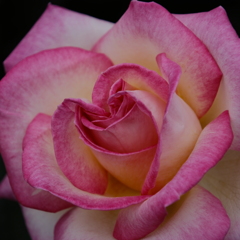 DSCF0143