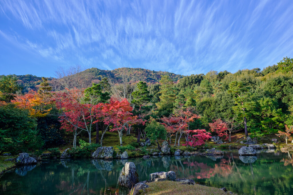 曹源池の山を真正面から