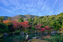 曹源池の山を真正面から
