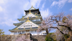 DSCF7501大阪城と桜