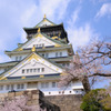 DSCF7501大阪城と桜