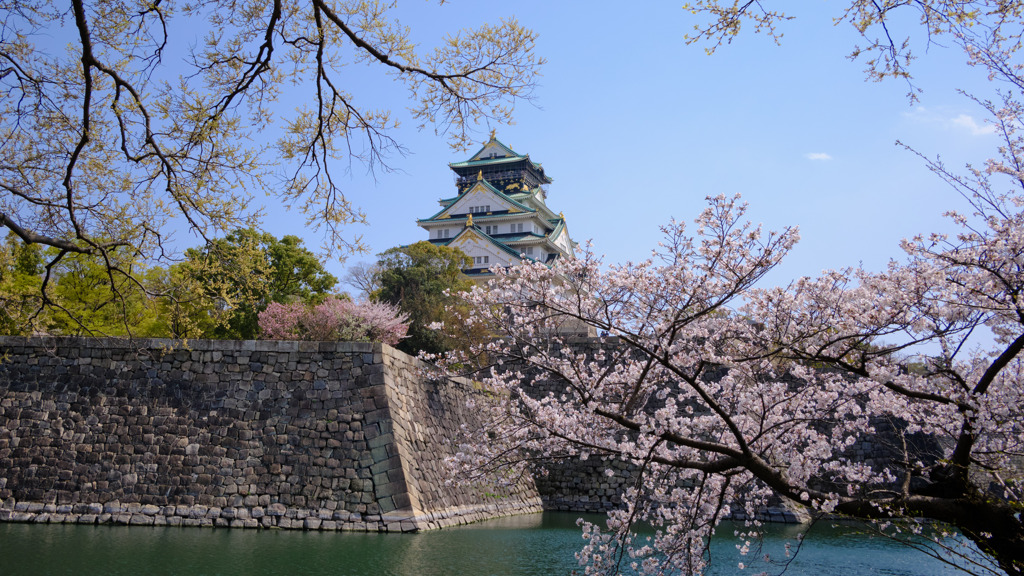 DSCF7452大阪城と桜