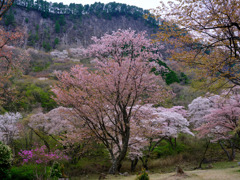 屏風岩公苑