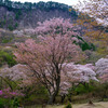 屏風岩公苑
