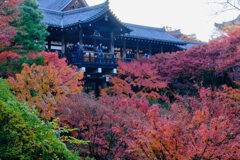 DSCF0068渓谷から通天橋