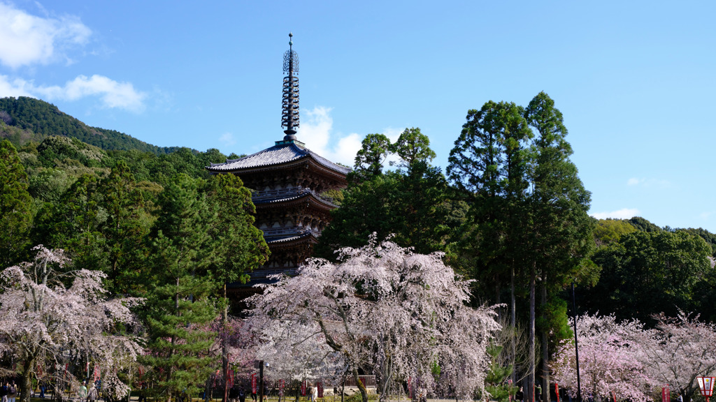 DSCF7057 醍醐寺五重塔