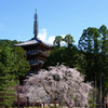 DSCF7057 醍醐寺五重塔