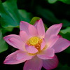 DSCF1120