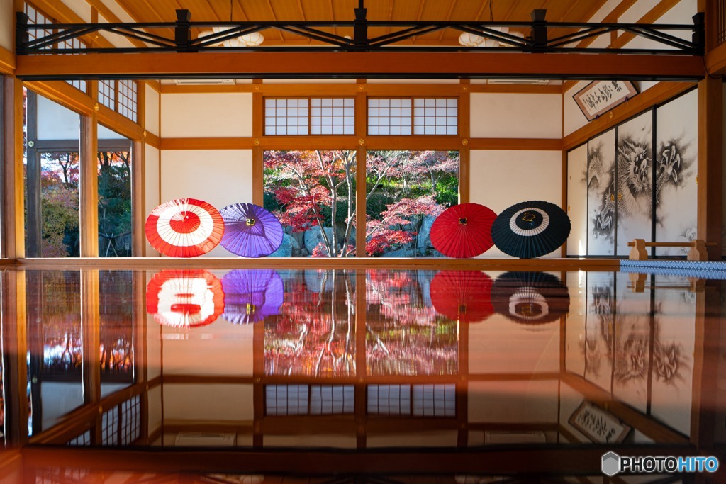 宝徳寺　床もみじ