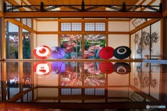 宝徳寺　床もみじ