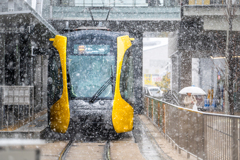 雪のLRT②　2025