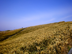 神威岬2010　④