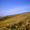 神威岬2010　④