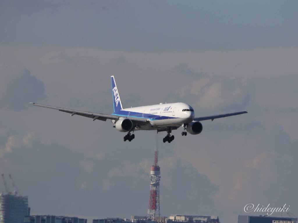 東京タワーの串刺し