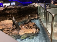 集合