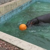 テンション爆上がりだったまんぷく