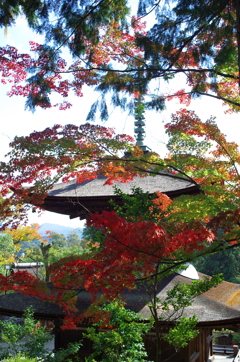 石山寺の秋