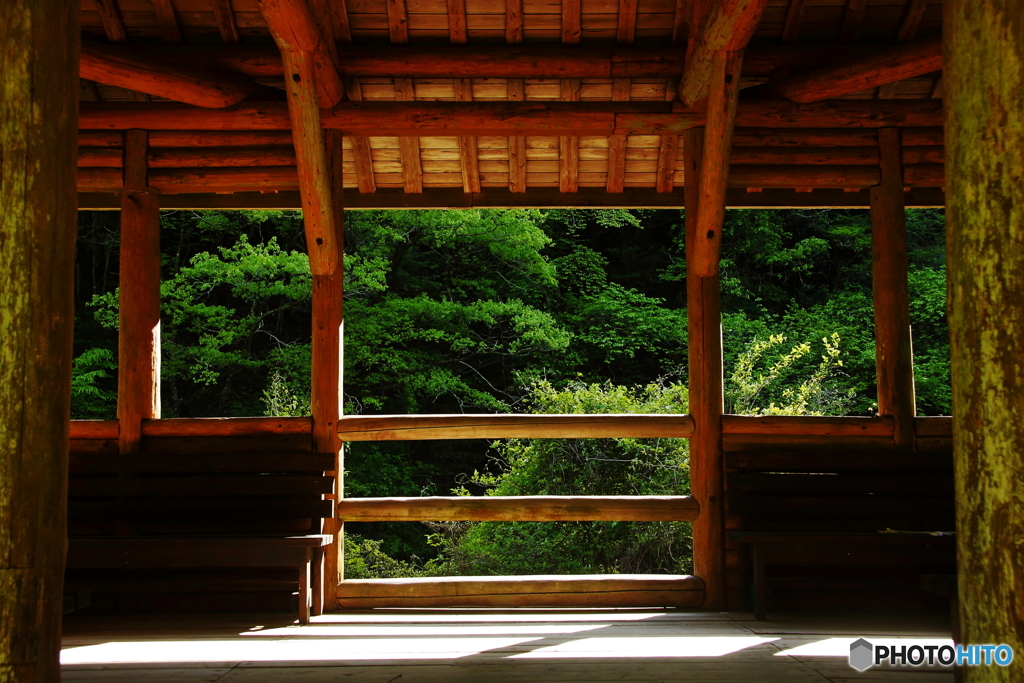 緑の窓