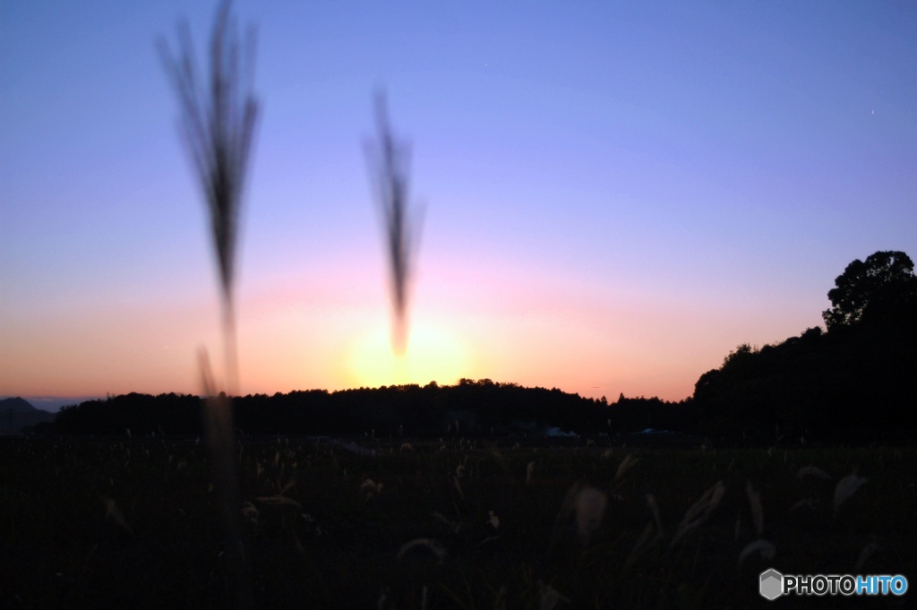 いつかの夕暮れ