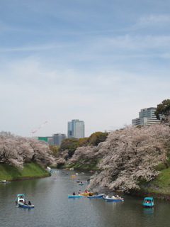 千鳥ヶ淵にて