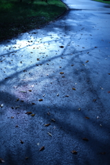 雨上がり