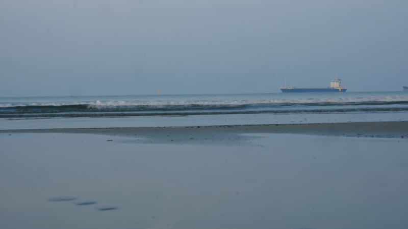 海