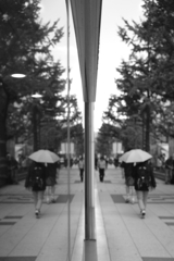 ストリートスナップ～御堂筋