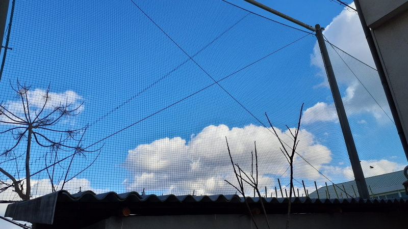 視点～風景