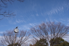 時計のある風景