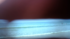 海