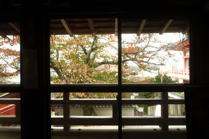 紅葉～額縁構図