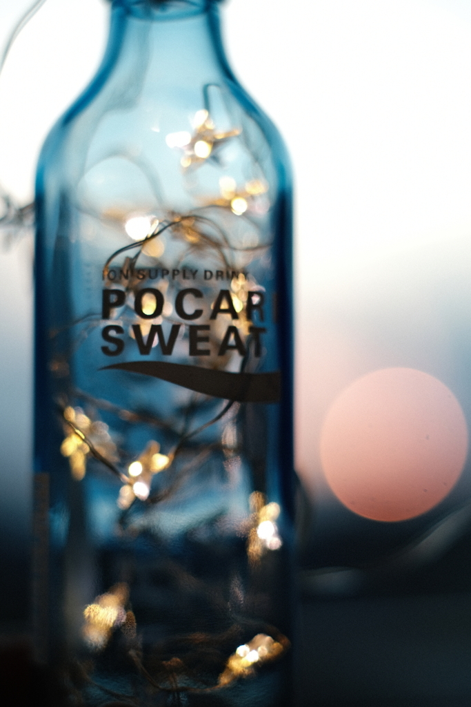 夕日をバックにイルミネーション