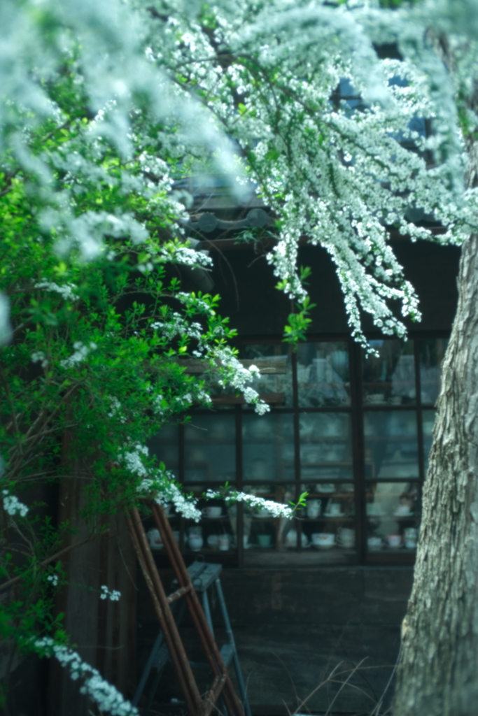 花～マルミフィルター