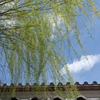 古都奈良～興福寺土塀